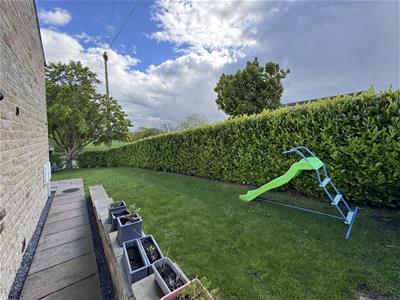 Picture 30